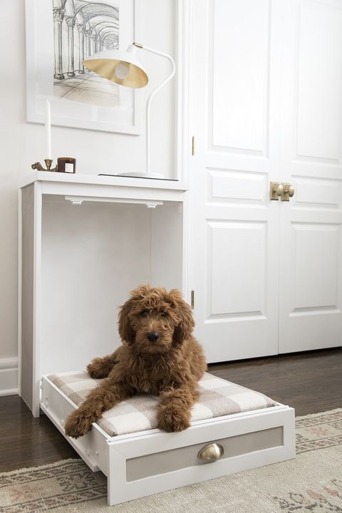 19 Adorable Diy Dog Beds How To Make, Diy Dog Bunk Beds Simple