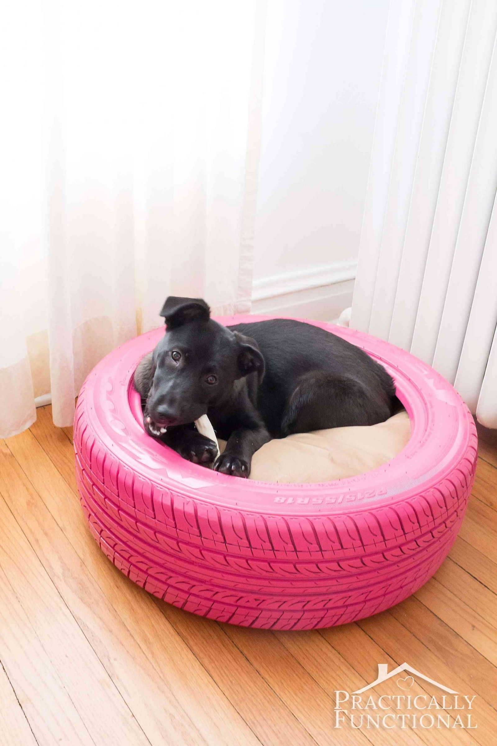 cute girl dog beds