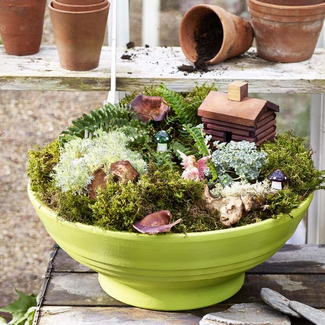 7 Of The Best Fairy Garden Kits To, How To Make A Diy Fairy Garden Kit