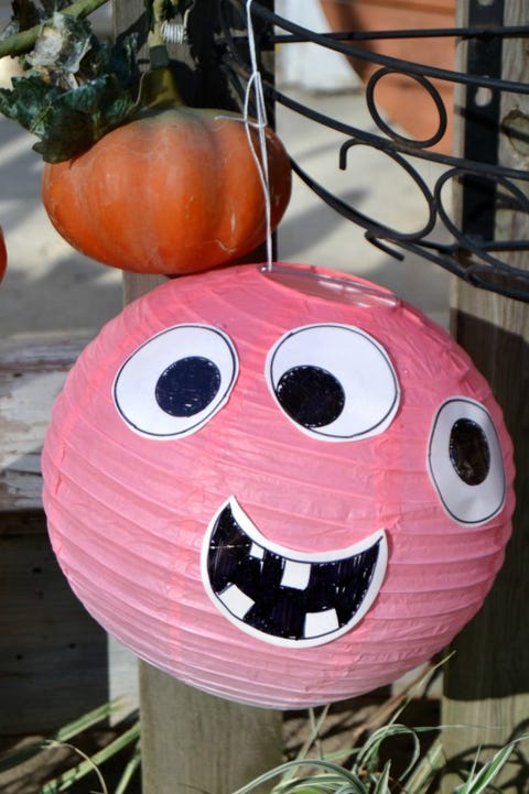 Pumpkin, Jack-o'-lantern, Calabaza, Pink, Cucurbita, Vegetable, Plant, Gourd, Pumpkin, Jack-o'-lantern, Calabaza, Pink, Cucurbita, Vegetable, Plant, Gourd,