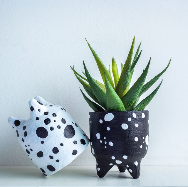 black and white painted succulent planters