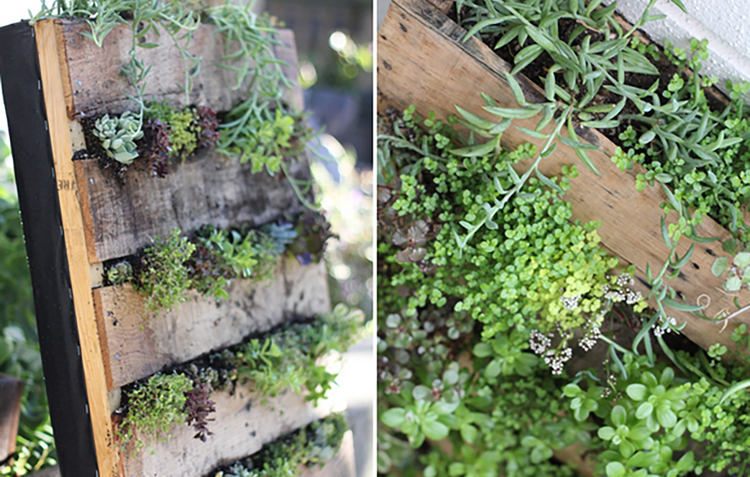 35 Creative Ways To Plant A Vertical Garden How To Make A