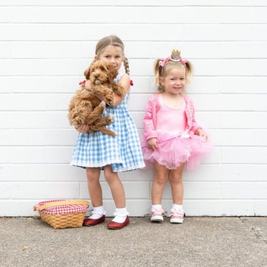 Cheap Dog Costumes For Kids