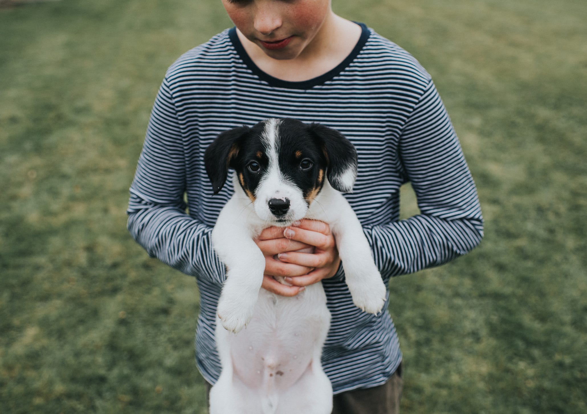 how do you remove an umbilical cord from a puppy