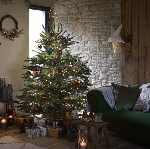 fraser fir christmas tree, dobbies