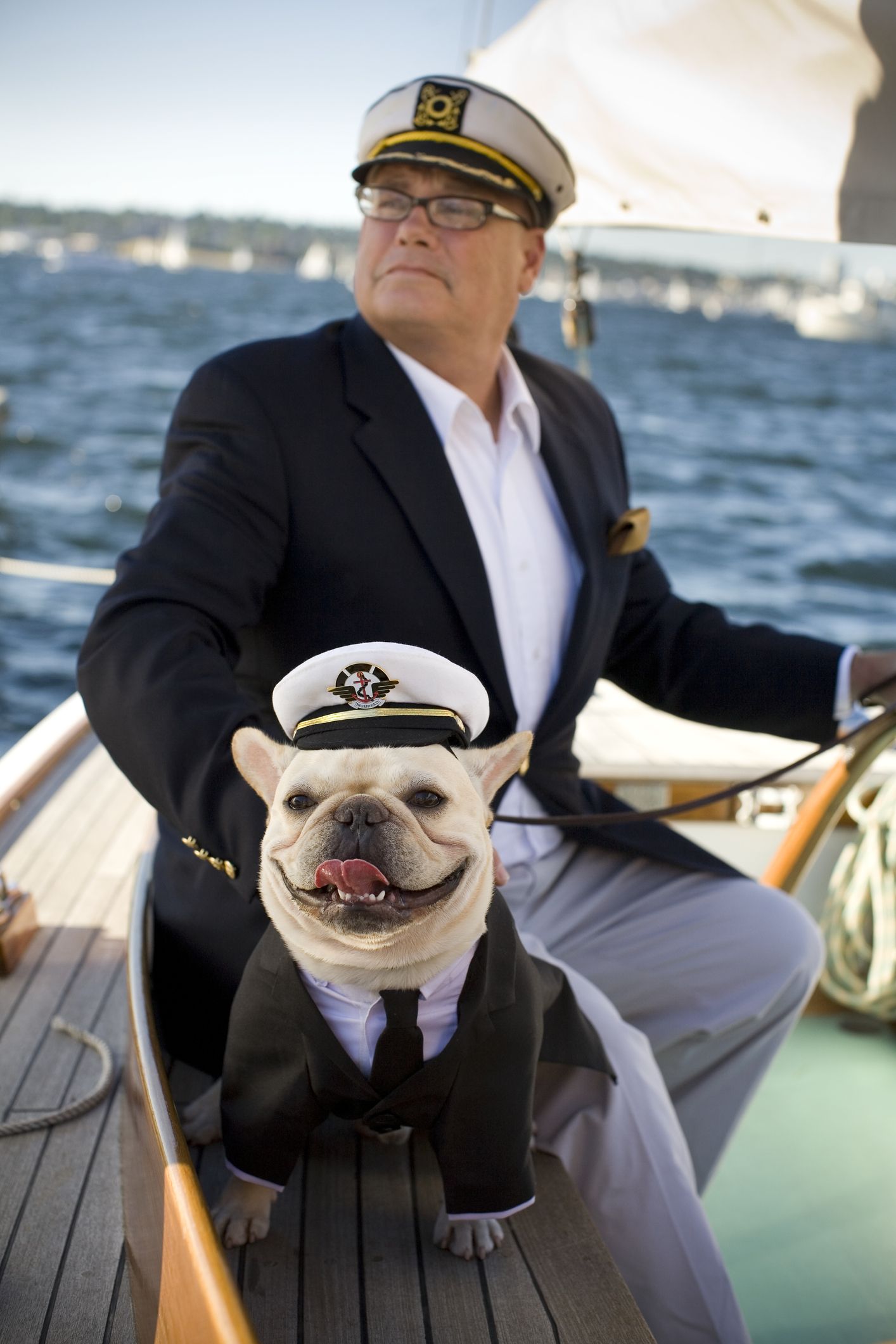 dog in sailor outfit