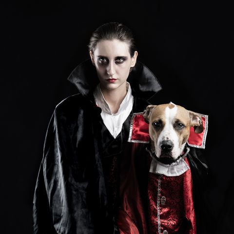 portrait of young woman in vampire costume standing with dog during halloween against black background