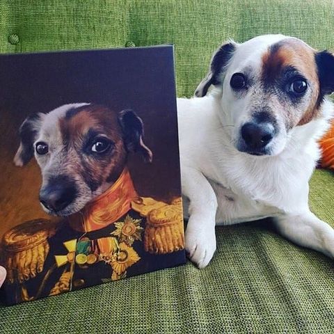 unse skorsten replika Crown & Paw Turns Photos of Your Pet Into Renaissance Masterpieces - Custom  Dog Portrait