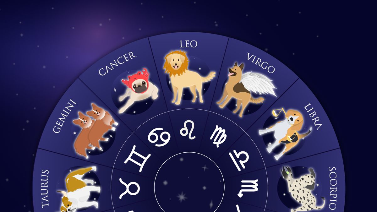 12 Dog Star Signs, Their Personality Traits And Human Match