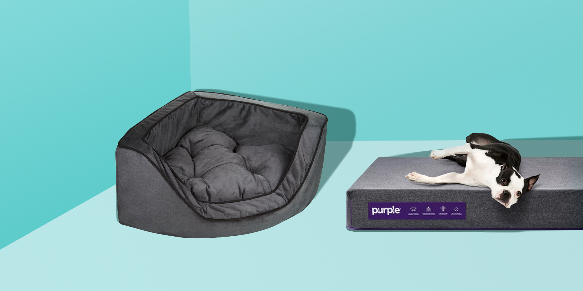 dog beds near me