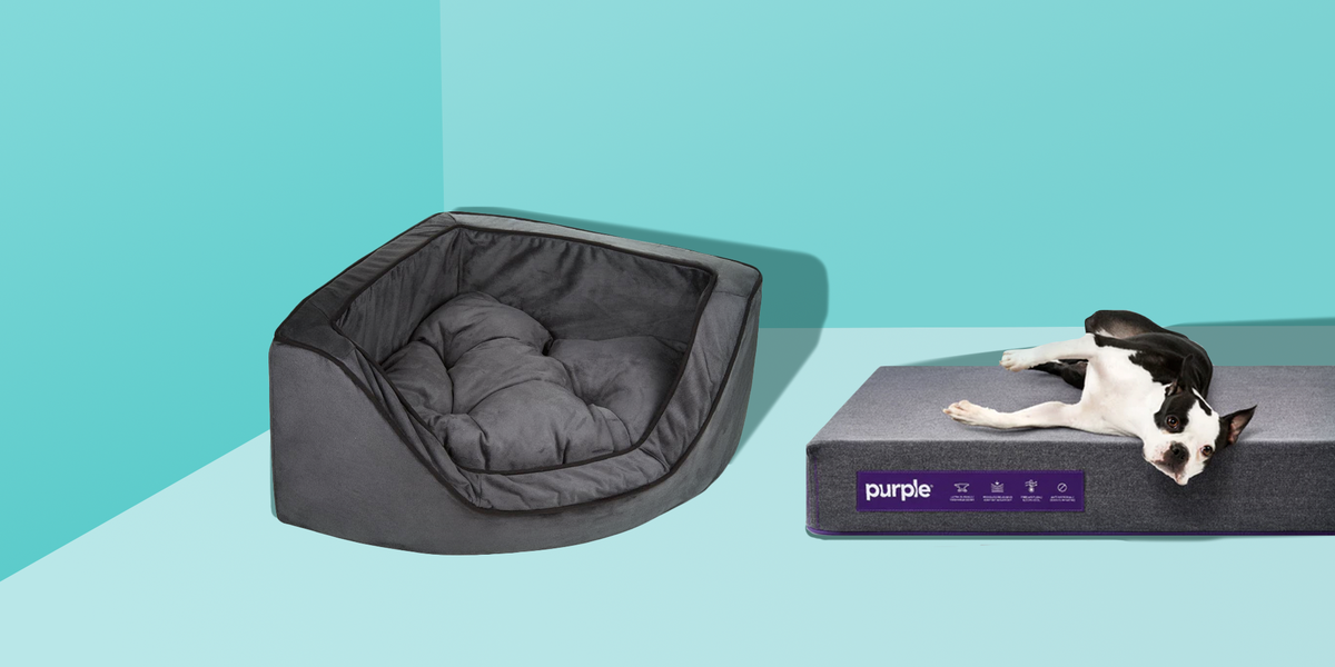 10 Best Dog Beds In 2021 Top Rated Beds For Small And Large Dogs