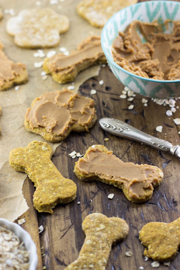 homemade hard dog treats