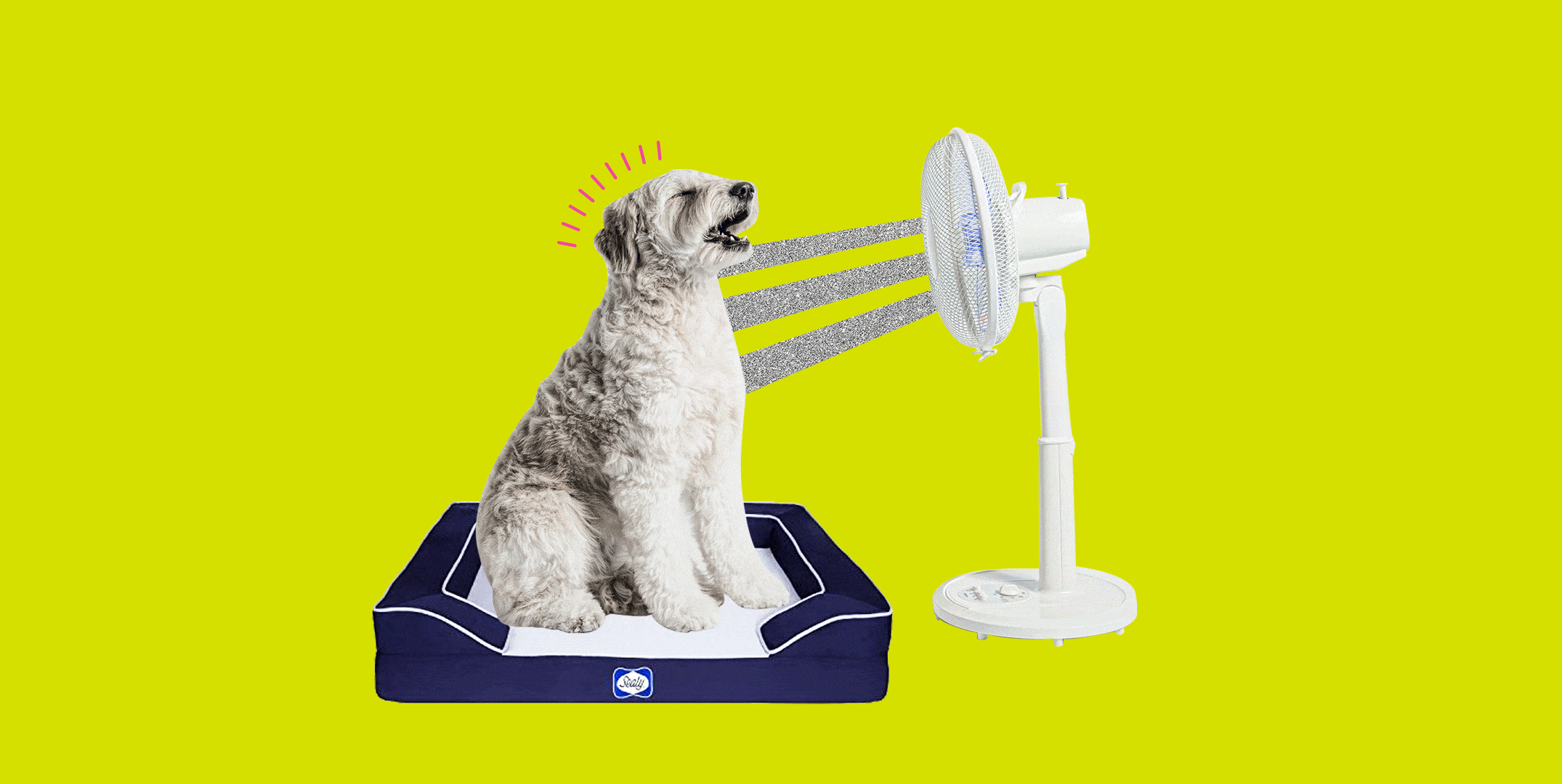 Best Cooling Dog Beds For Summer