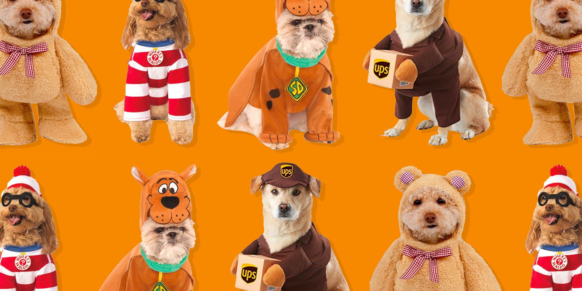 toy dog halloween costumes