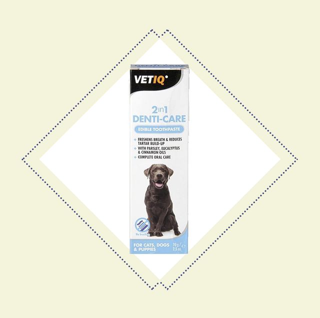 18 Best Dog Toothpaste To Buy In 2021 + Canine Oral Health Tips