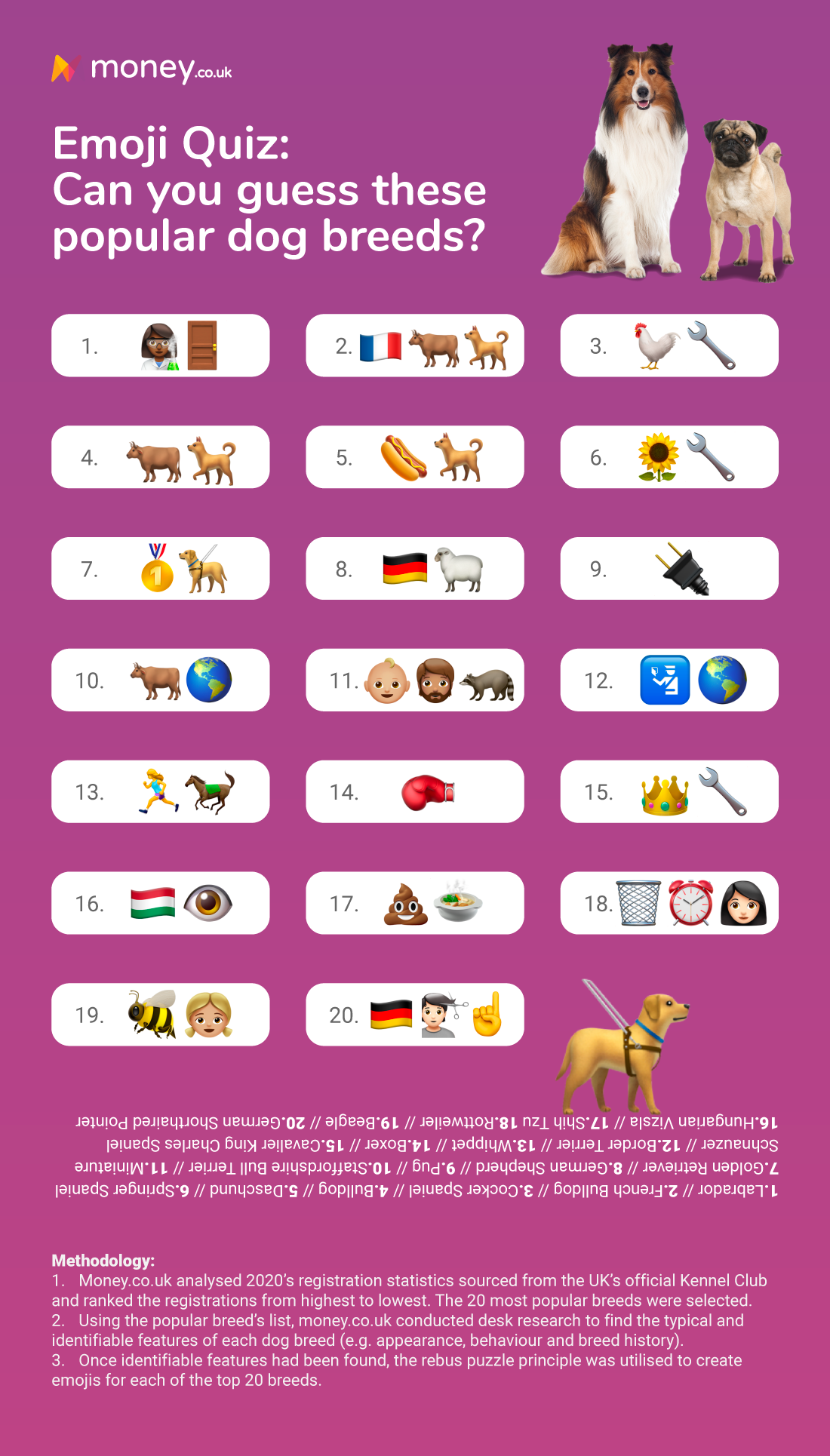 emoji quiz can you guess the 20 dog breed from the icons