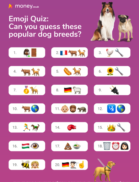 guess the dog breed with this quiz