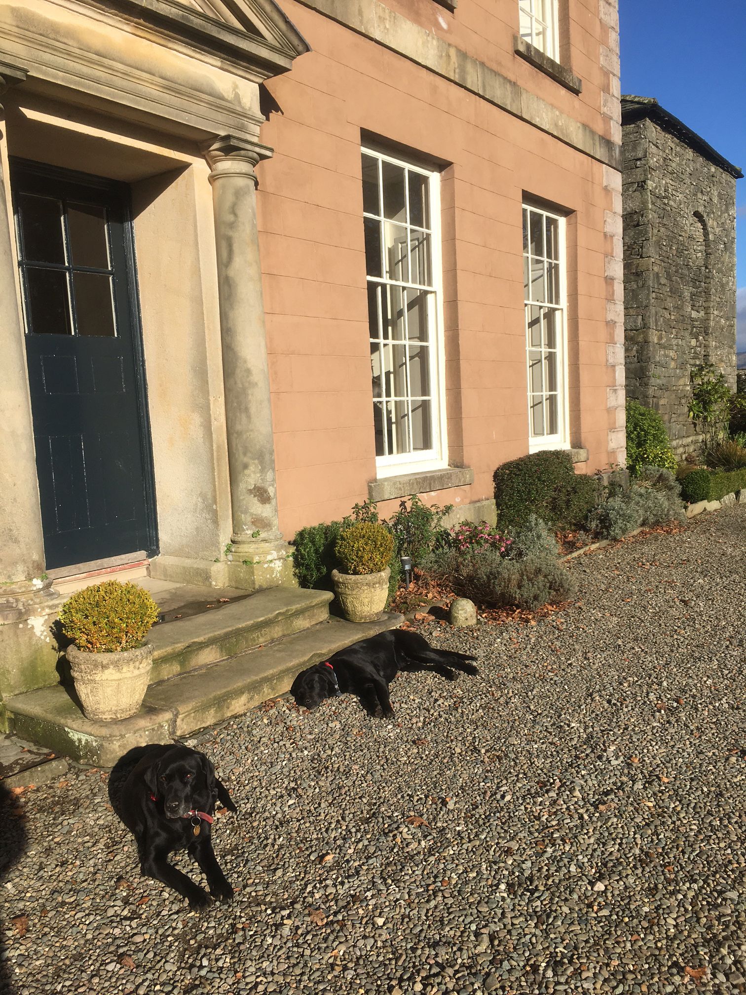 10 Best Dog-friendly B&Bs In The UK For 2021