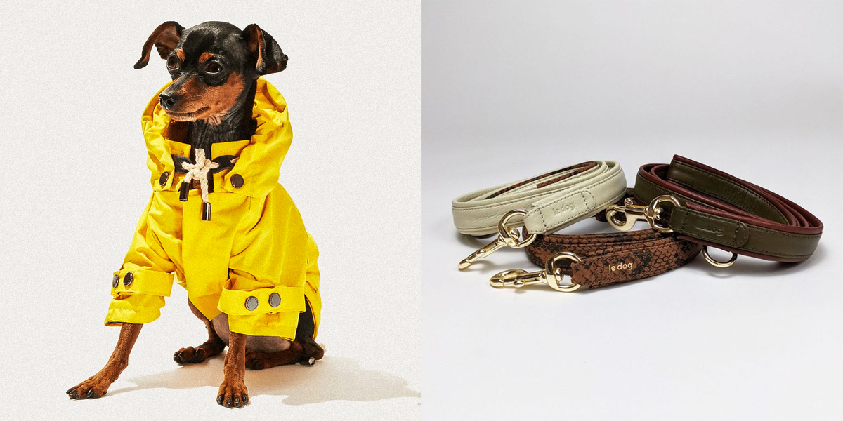 Presenting: 62 Great Dog Gifts They Can’t Wait to Get Their Paws On