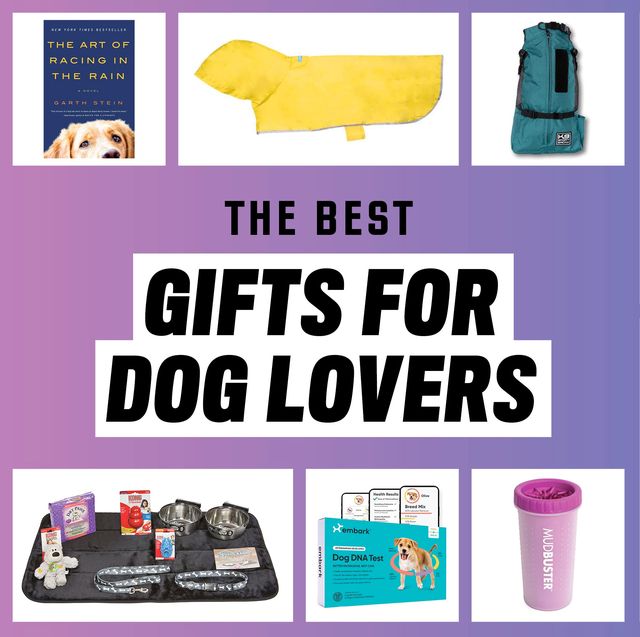 the best gifts for dog lovers