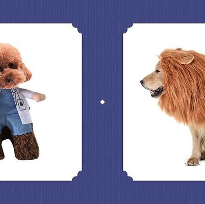 10 Best Dog Halloween Costumes Best Costumes For Dogs 2020