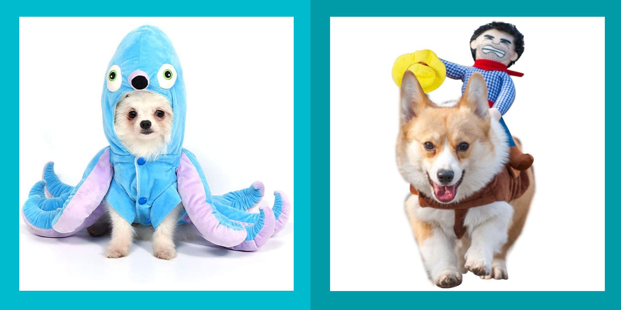 make your dog into a plush