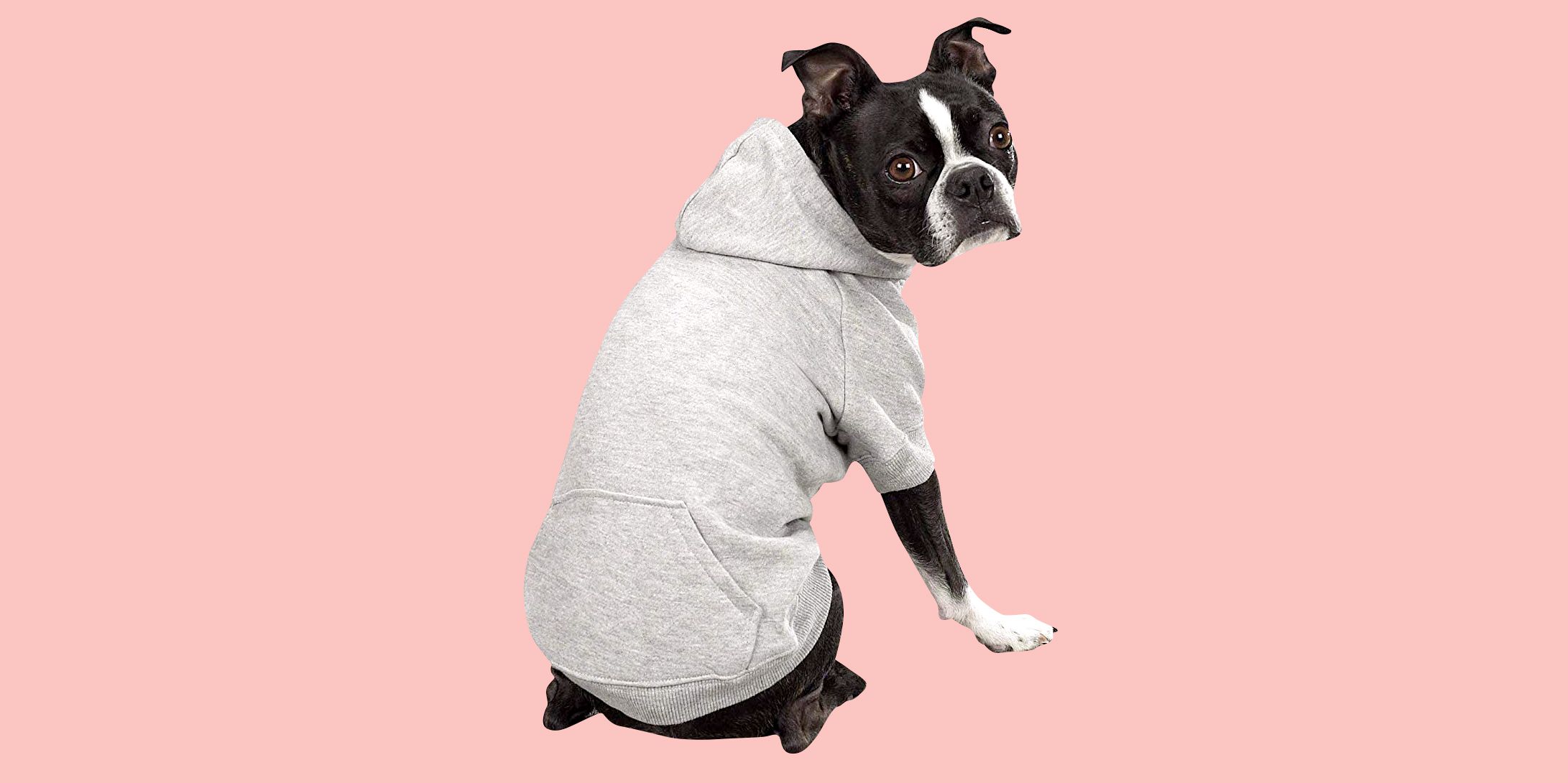 zack and zoey dog hoodie