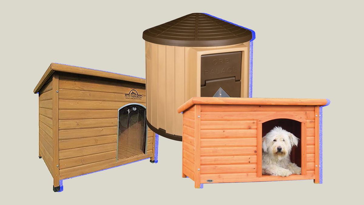 How To Insulate Igloo Dog House The 6 Best Heated Dog Houses for the Winter