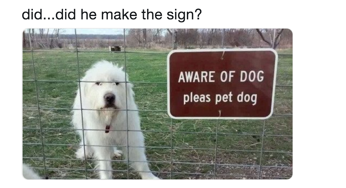 are dogs aware of themselves