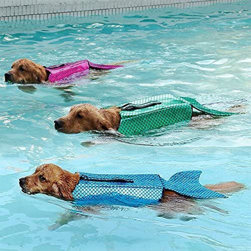 dachshund shark life jacket