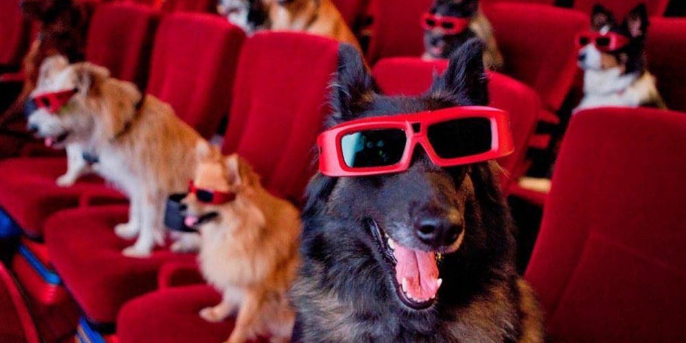 You Can Bring Your Dog to This Movie Theater — and Tickets Include Unlimited Wine