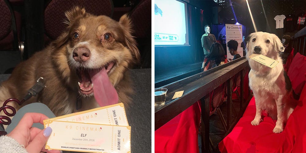 You Can Bring Your Dog to This Movie Theater — and Tickets Include