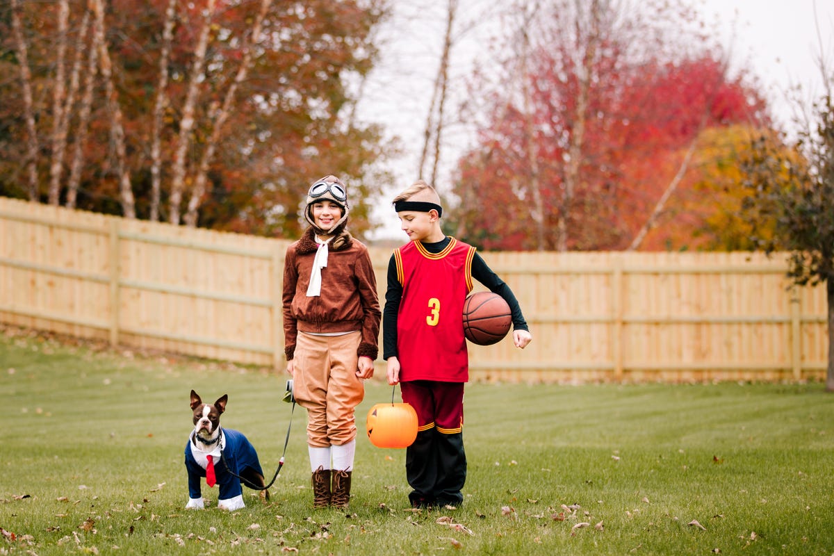 20 Best Dog And Owner Halloween Costumes Matching Dog Mom Costumes