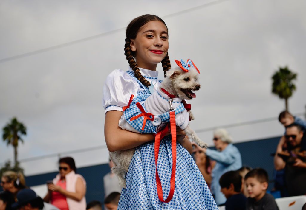 dog and owner fancy dress