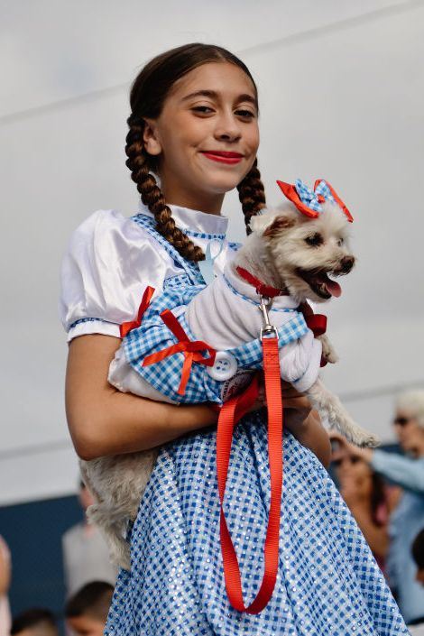 dog owner halloween costumes wizard of oz