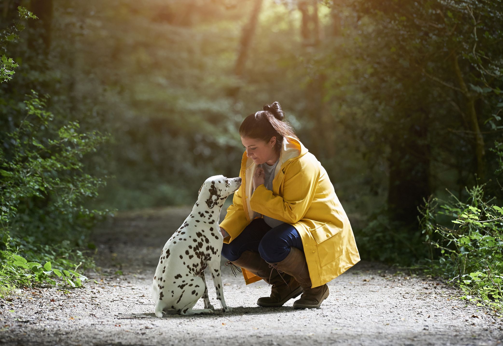 Dog Personalities Change Depending On How Owners Treat Them