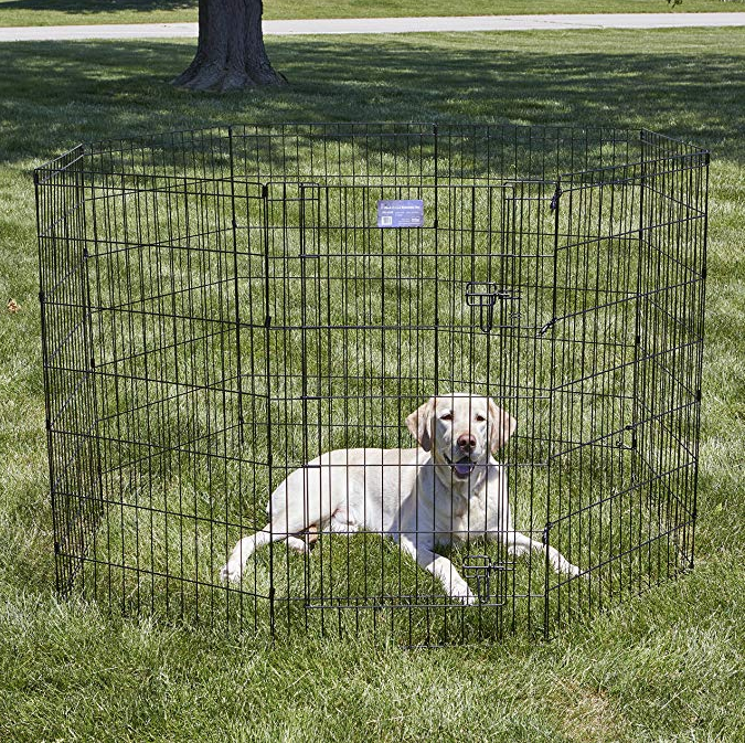 puppy playpen and crate