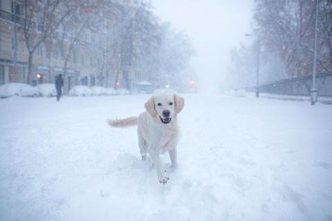 spain weather snow