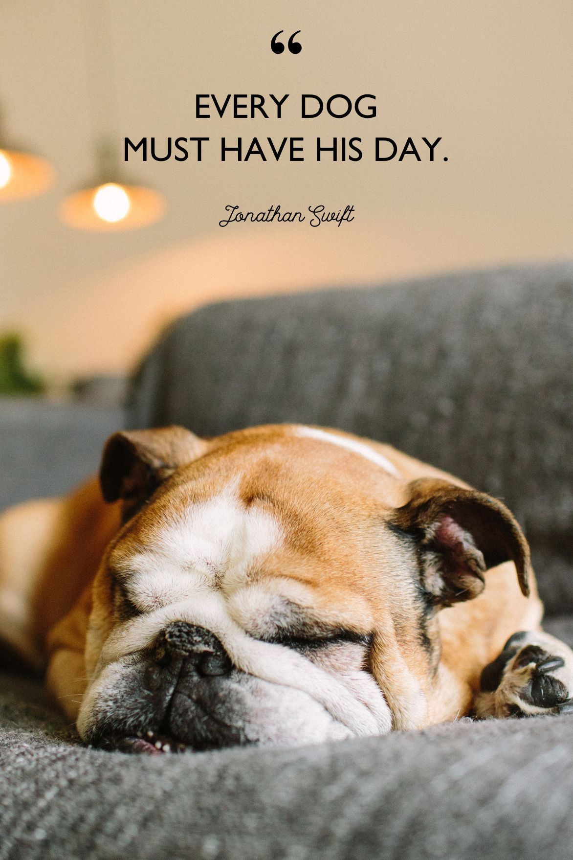 cute dog quotes and sayings