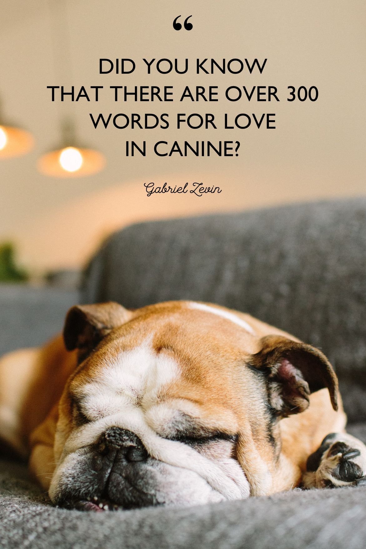 dog love sayings