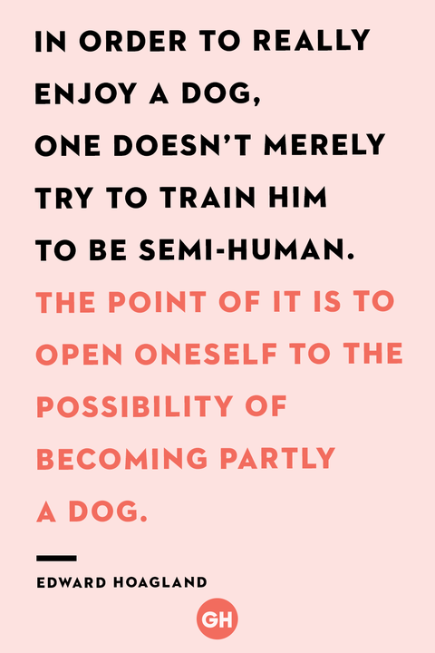 50 Dog Quotes That Every Animal Lover Will Relate To - Best Dog Quotes