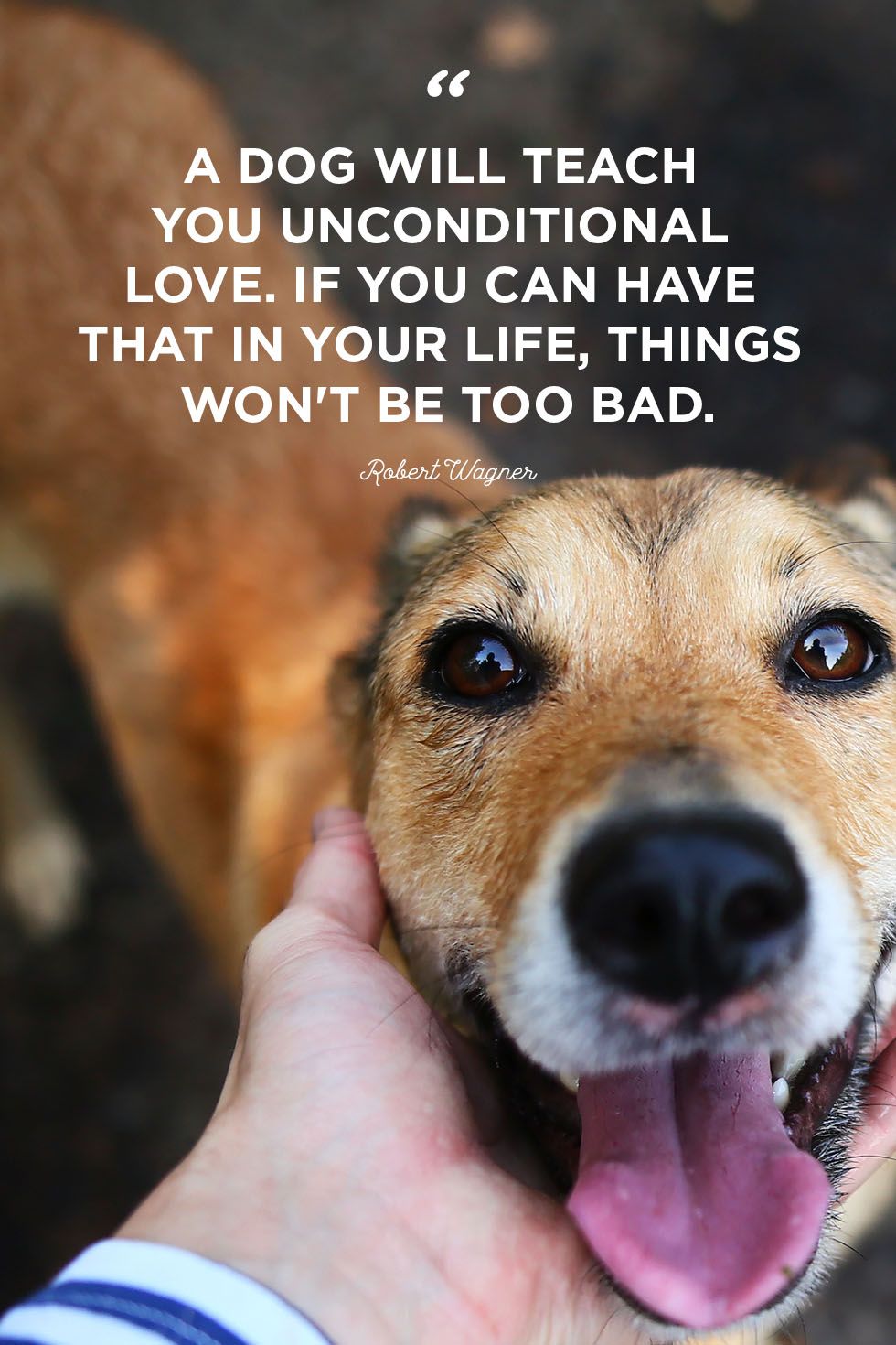 do dogs love you unconditionally