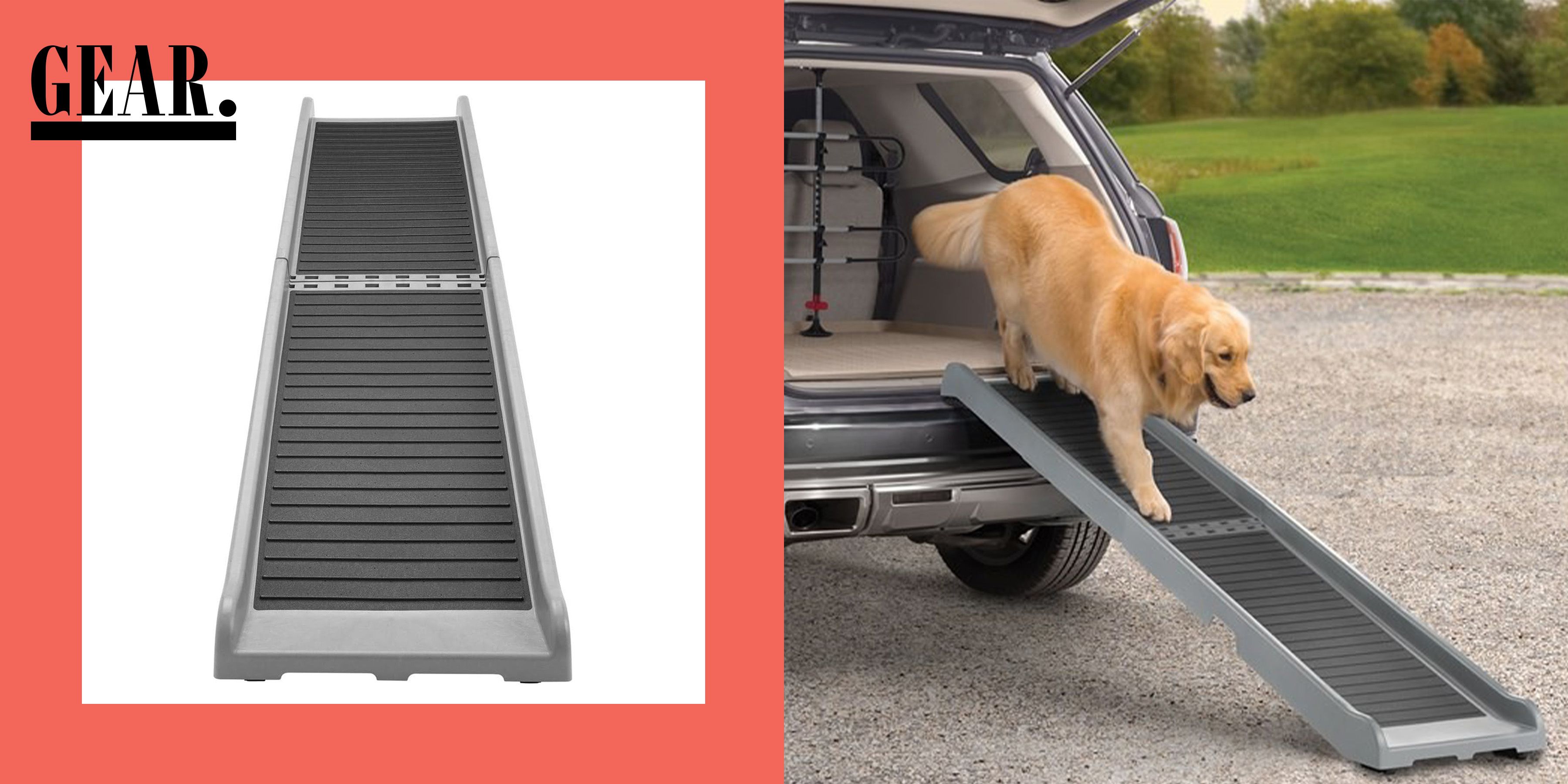 Road Trips, Unleashed: The Best Dog Ramps for Cars, Trucks, and SUVs