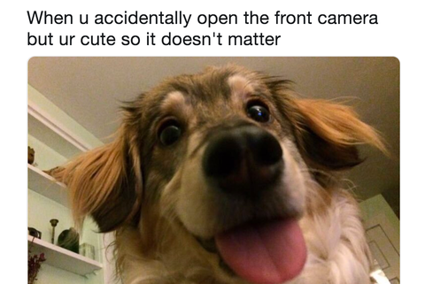 These 10 Feel Better Soon Memes May Be Funny Cute Enough To Cure You