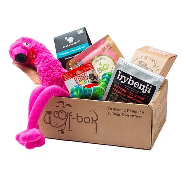 monthly dog toy box