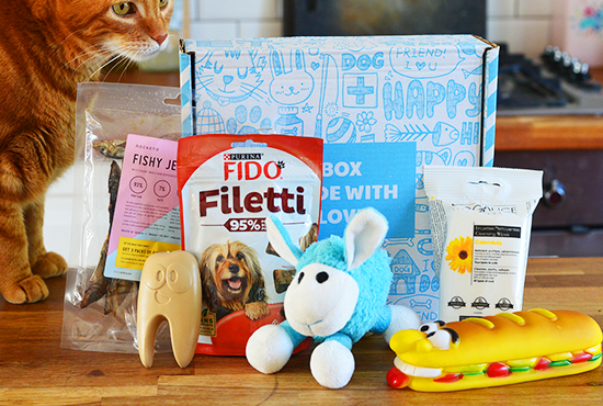 what is the best monthly dog box