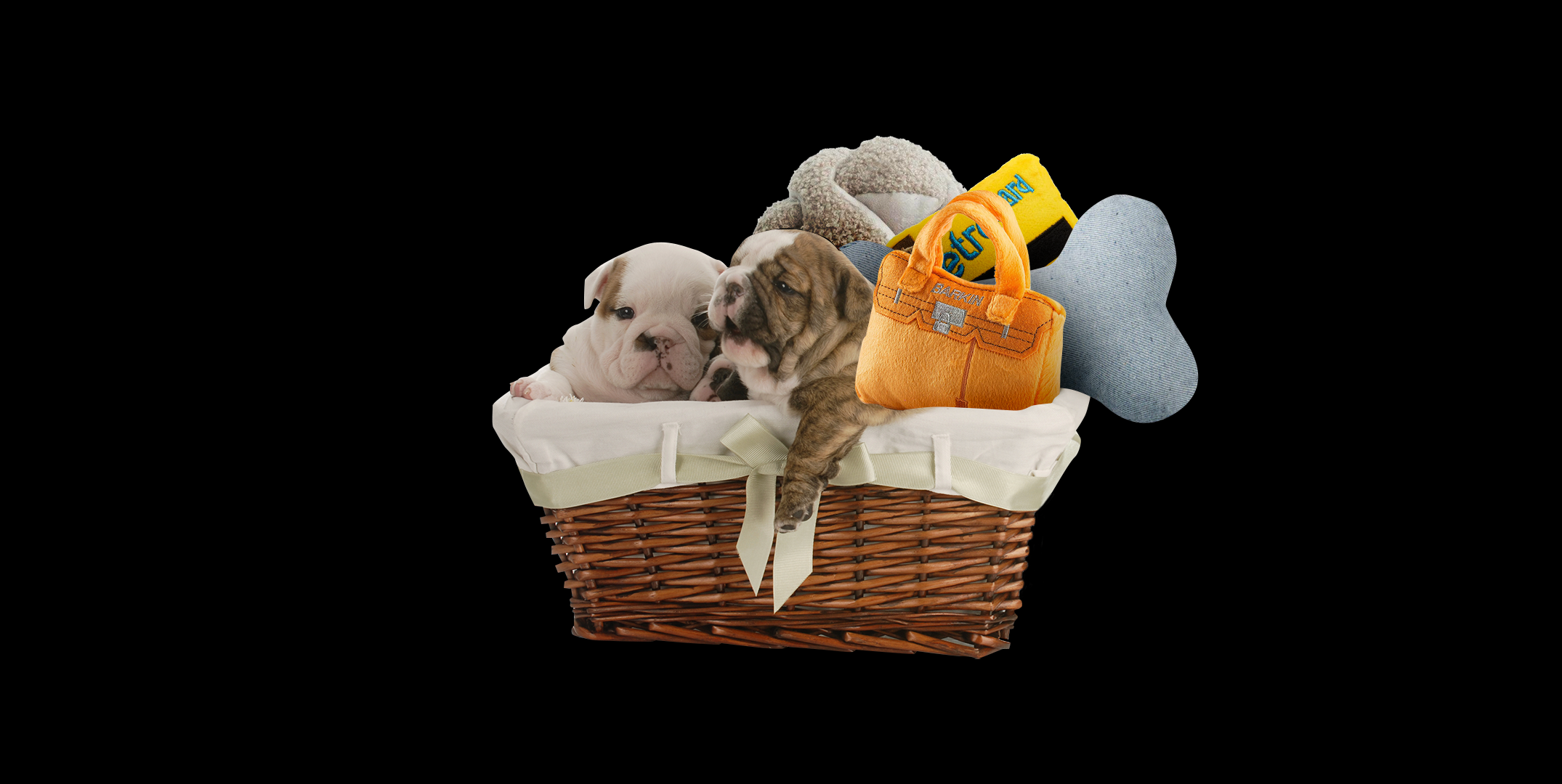 what are the best dog toys for puppies