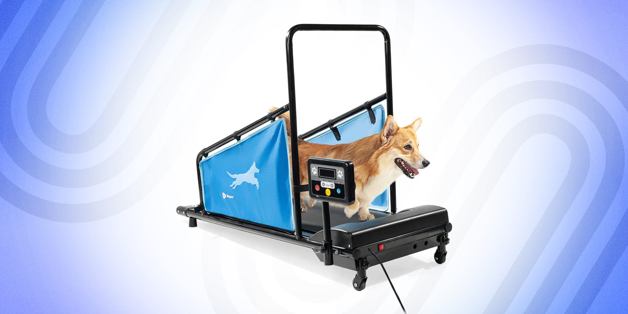 are human treadmills safe for dogs