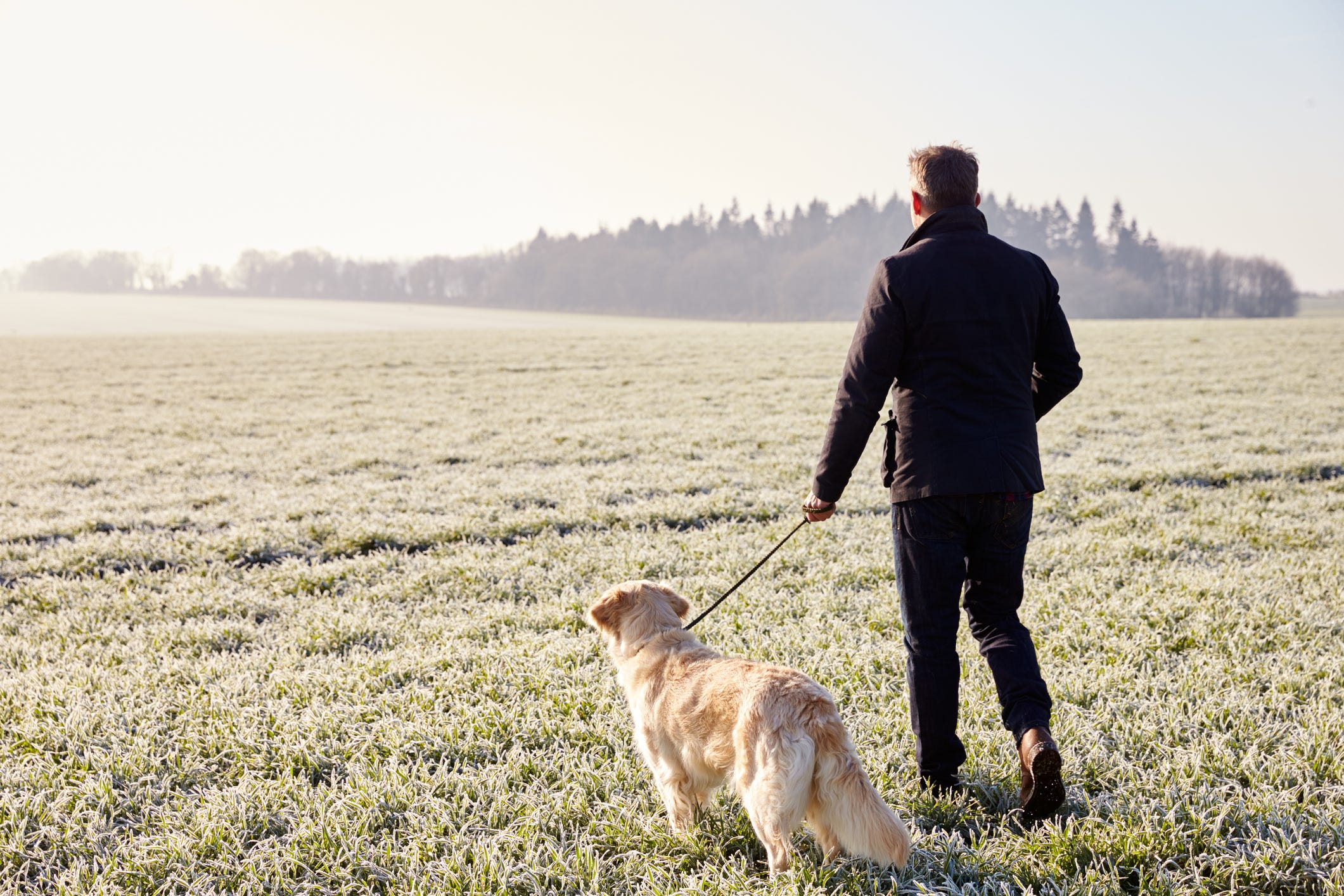 what does it mean to dog walk a person