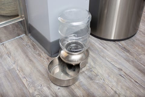 dog water bowl
